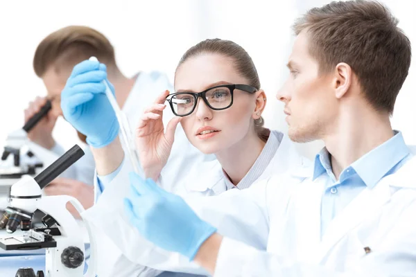 Chimici che lavorano in laboratorio — Foto stock