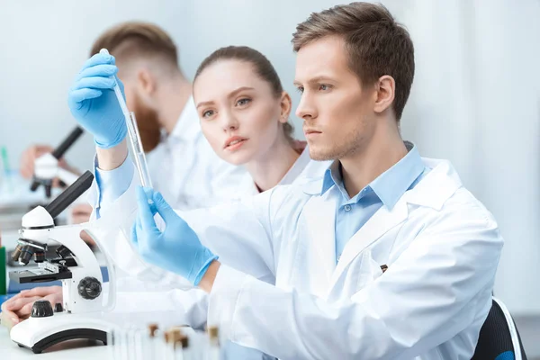 Químicos trabajando en laboratorio - foto de stock