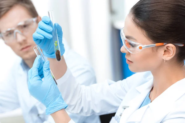 Scientist working with test tubes — Stock Photo