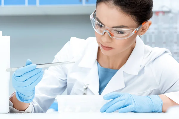 Wissenschaftler macht Experiment — Stockfoto