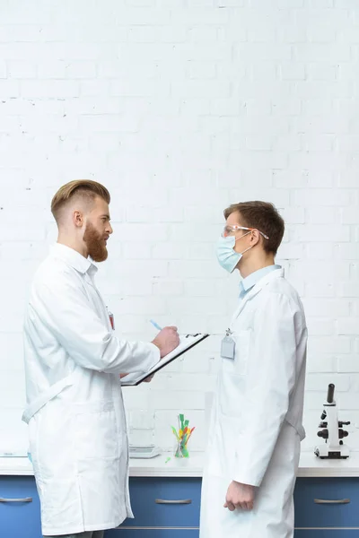 Scientists discussing work — Stock Photo