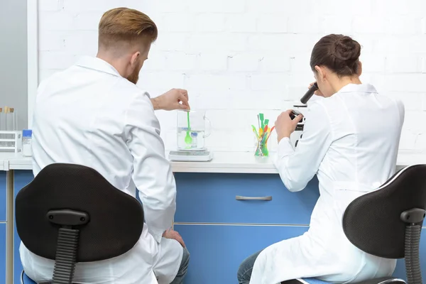 Científicos trabajando en laboratorio - foto de stock