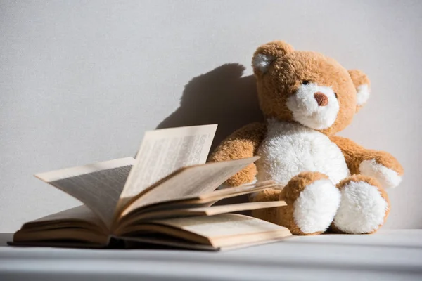 Teddy bear and book — Stock Photo