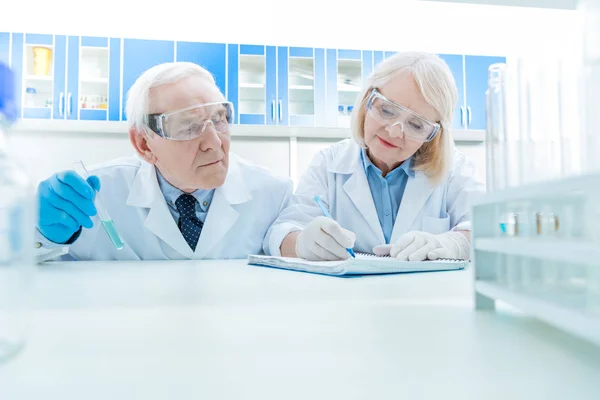 Senior couple of scientists — Stock Photo