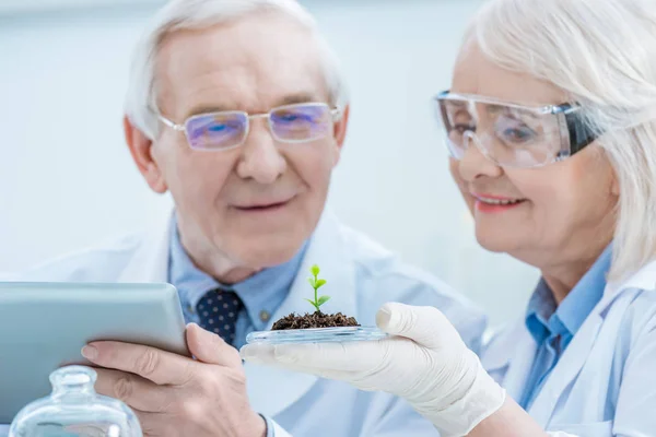 Senior couple of scientists — Stock Photo