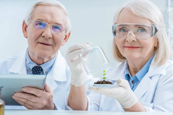Senior couple of scientists — Stock Photo
