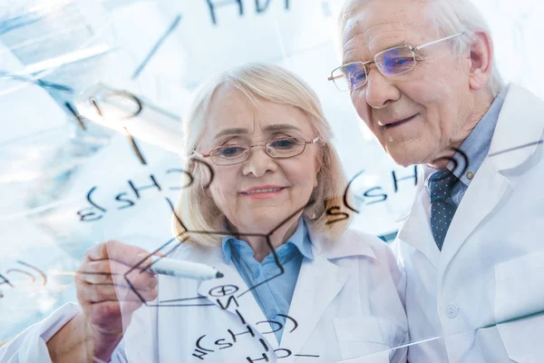 Senior couple of scientists — Stock Photo
