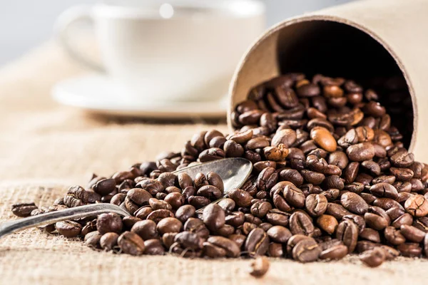 Granos de café aromáticos - foto de stock