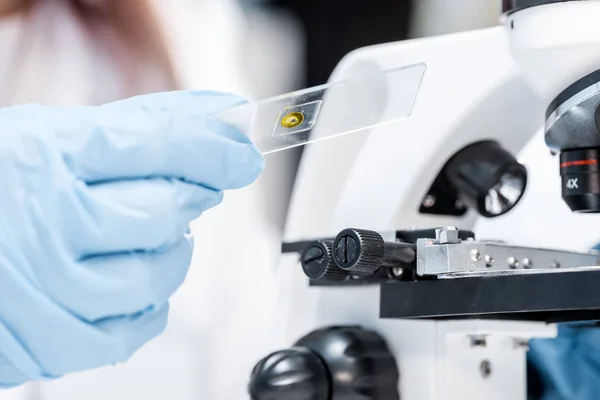 Cientista que trabalha em laboratório — Fotografia de Stock