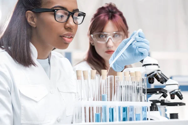 Cientistas que trabalham em laboratório — Fotografia de Stock