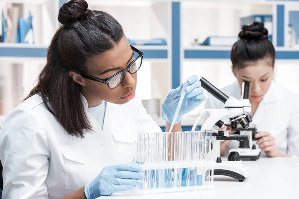 Científicos trabajando en laboratorio - foto de stock