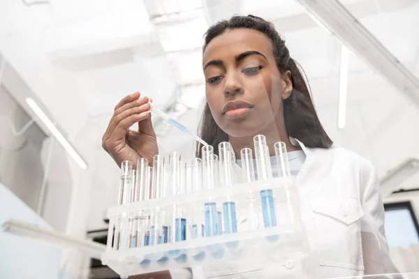 Scientist working in lab — Stock Photo