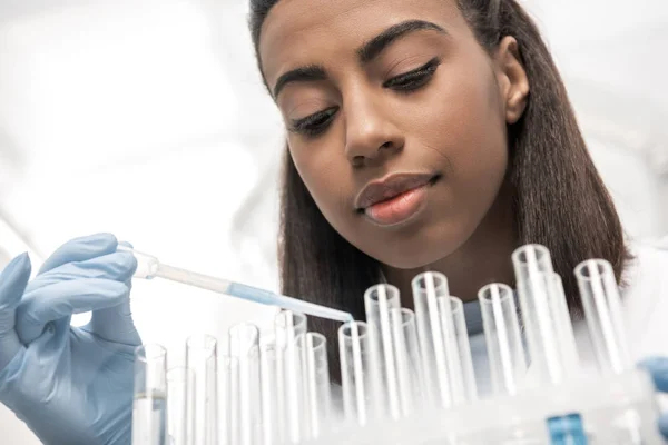 Cientista que trabalha em laboratório — Fotografia de Stock