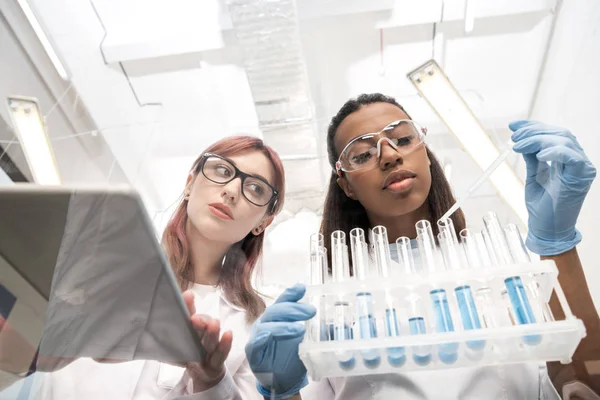 Scientists working together — Stock Photo