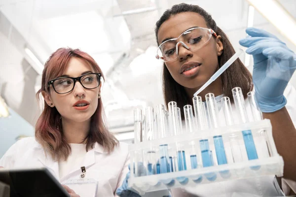 Scientists working together — Stock Photo