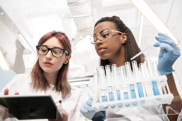 Scientists working together — Stock Photo