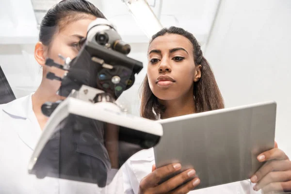 Científicos trabajando juntos en laboratorio - foto de stock