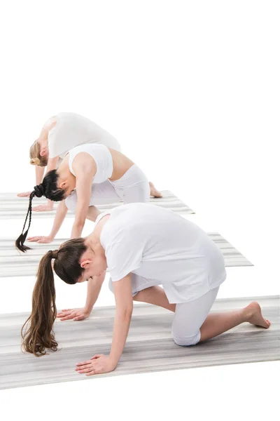 Mujeres realizando yoga - foto de stock