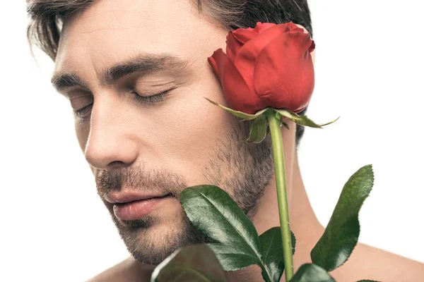 Homem bonito com flor de rosa — Fotografia de Stock