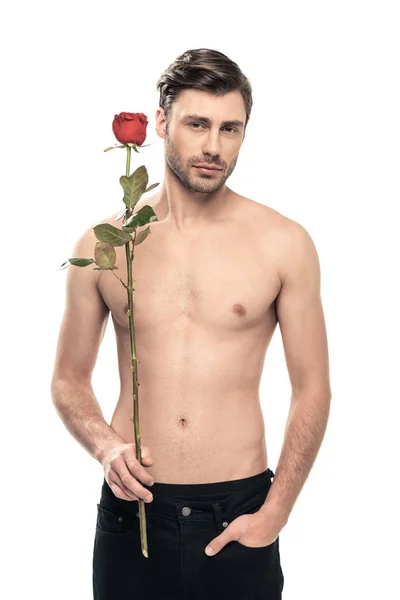 Schöner Mann mit Rosenblüte — Stockfoto