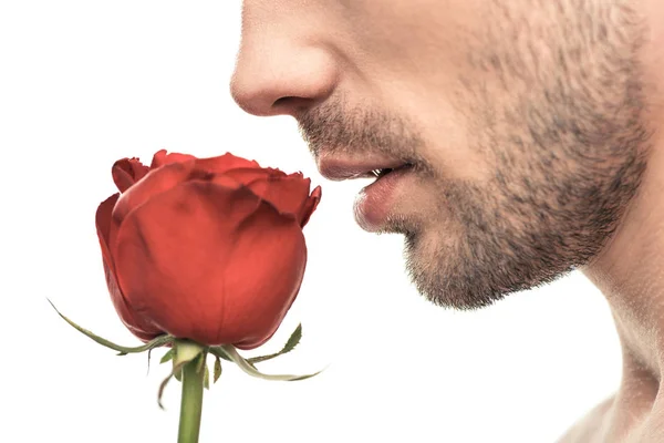 Hombre guapo con flor de rosa - foto de stock