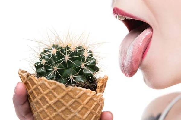 Woman eating cactus — Stock Photo