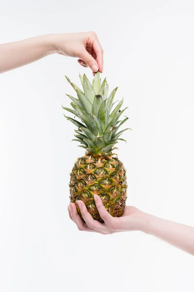 Mains féminines avec ananas — Photo de stock