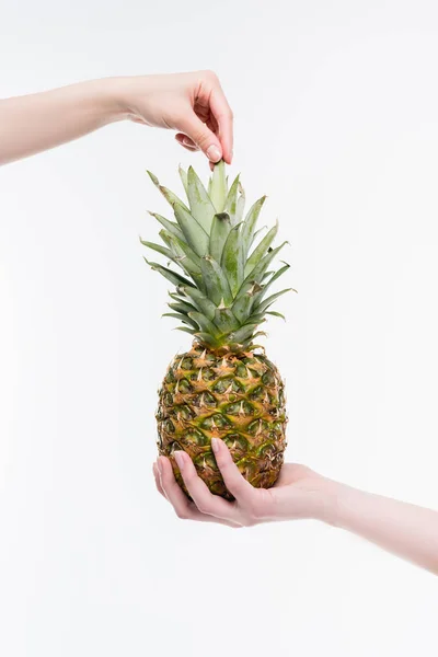 Manos femeninas con piña - foto de stock