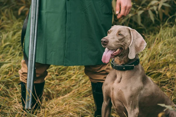 Homem de pé com cão de caça e arma — Stock Photo
