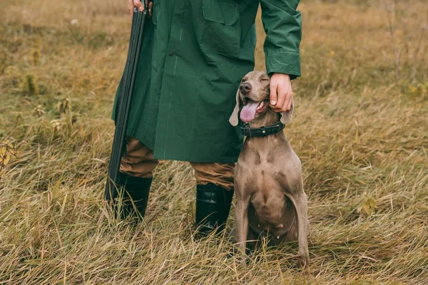 Homem de pé e cão de estimação — Fotografia de Stock