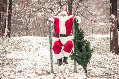 Noel Baba itme yapıyor ups ormanda