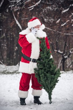 Santa Claus standing with fir tree clipart
