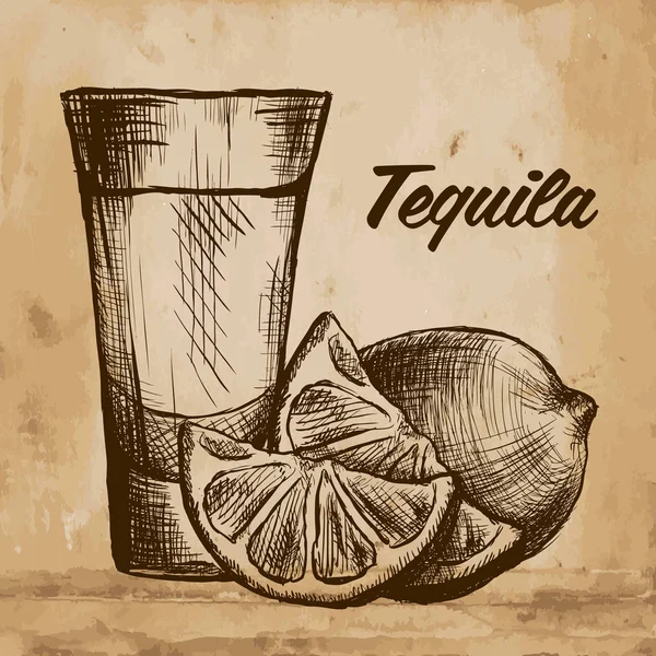 Bouteille de tequila à la chaux et verre. peint à la main — Image vectorielle