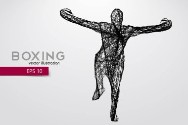 Boksör siluet. Kazanan