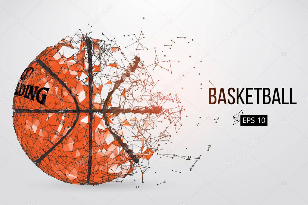 Silhouette of a basketball ball. Vector illustration