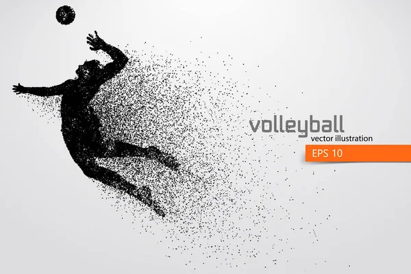 Silhouette of volleyball player. — Stock Vector