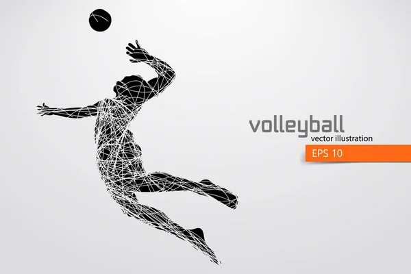 Silueta del jugador de voleibol . — Archivo Imágenes Vectoriales