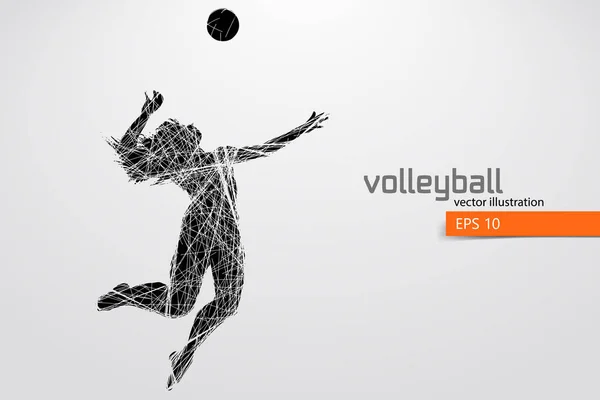 Silhouette eines Volleyballers. — Stockvektor