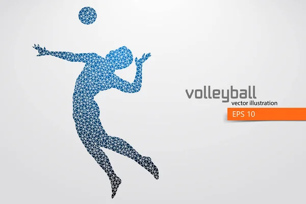 Silhouette of volleyball player. — Stock Vector