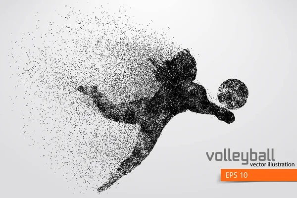 Silhouette eines Volleyballers. — Stockvektor