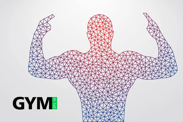 Silhouet van een bodybuilder. sportschool logo vector. Vectorillustratie — Stockvector