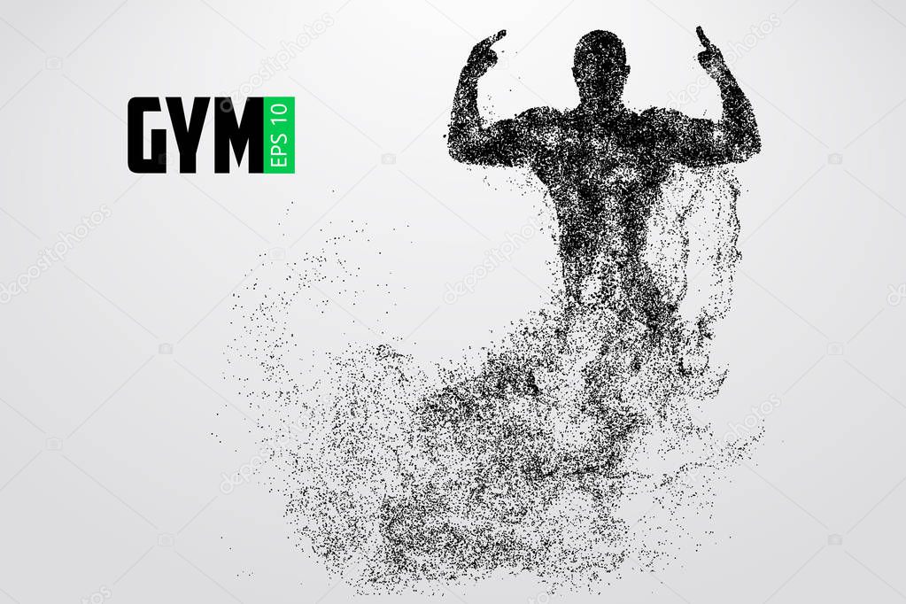 Silhouette of a bodybuilder. gym logo vector. Vector illustration