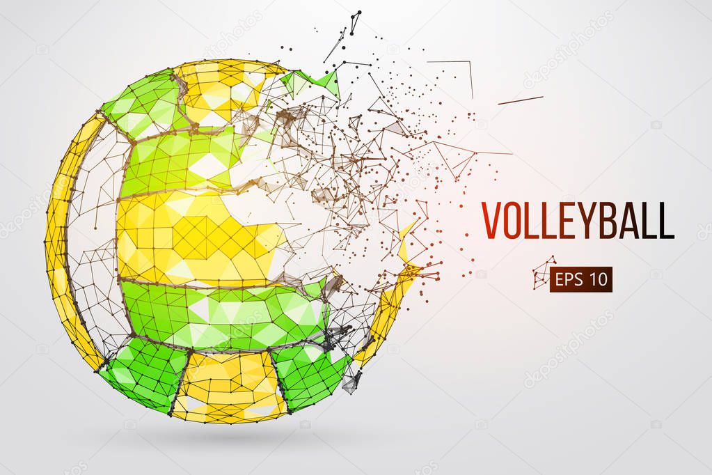 Silhouette of a volleyball ball. Vector illustration.