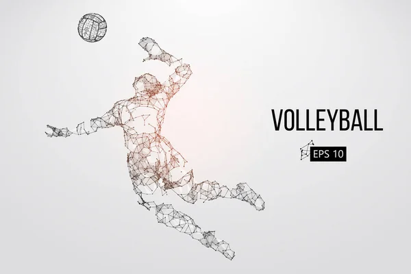 Silhouette of volleyball player. Vector illustration. — Stock Vector