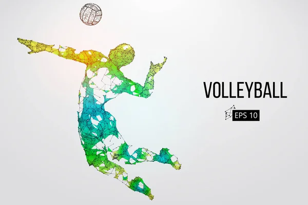 Silhouette of volleyball player. Vector illustration. — Stock Vector