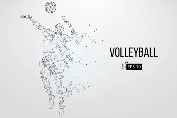 Silueta de jugador de voleibol. Ilustración vectorial. — Archivo Imágenes Vectoriales