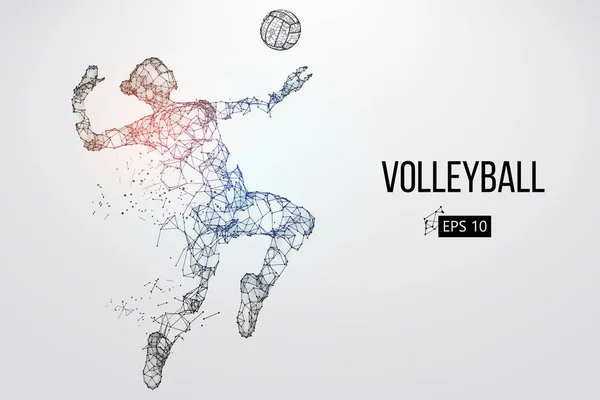 Silhouette of volleyball player. Vector illustration. — Stock Vector