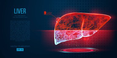 Mavi arka plandaki çokgen karaciğer organının soyut silueti. İnsan karaciğerinin taraması, araştırması ve teşhisi. Holografik düşük yalan makinesi, kablo grafiği vektörü. İzlediğiniz için teşekkürler. 