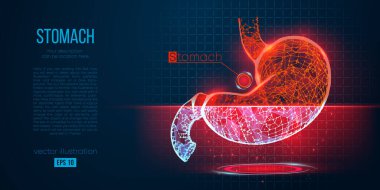 Mavi arkaplandaki çokgen mide organının soyut silueti. İnsan midesinde tarama, araştırma ve teşhis. Holografik düşük yalan makinesi, kablo grafiği vektörü. İzlediğiniz için teşekkürler. 