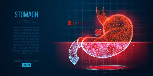 Abstract silhouette of the polygonal organ of stomach on blue background. Scanning, research and diagnosis of the human stomach. Holographic low poly, wireframe vector. Thanks for watching — Stock Vector